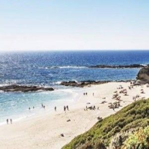 Meet your Posher, Owen